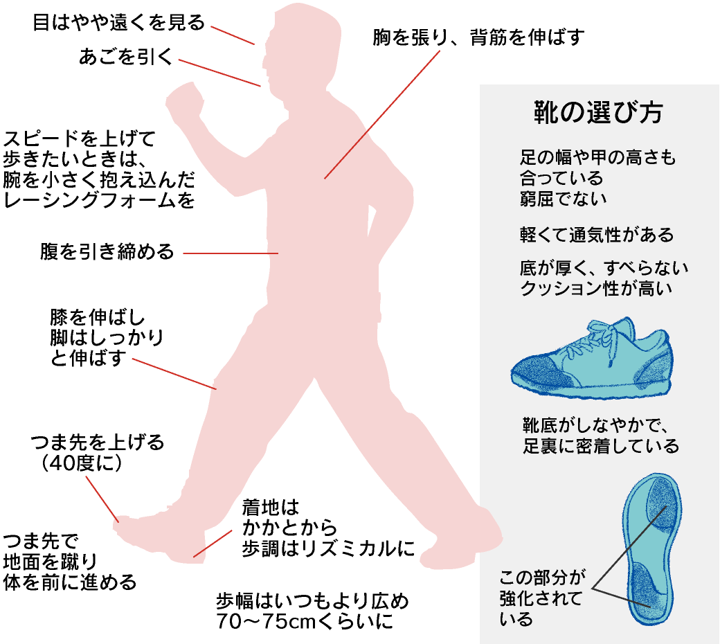 総 コレステロール 高い 原因 総コレステロールが低い（高い）原因解明！｜基準値と動脈硬化との関連は？？