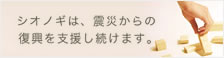 シオノギは、震災からの復興を支援し続けます。被災地の一日も早い復興を祈念いたします。